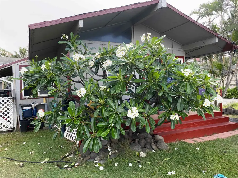 159 Lower Waiehu Beach Rd, Waihee Waiehu, HI 5 - #2