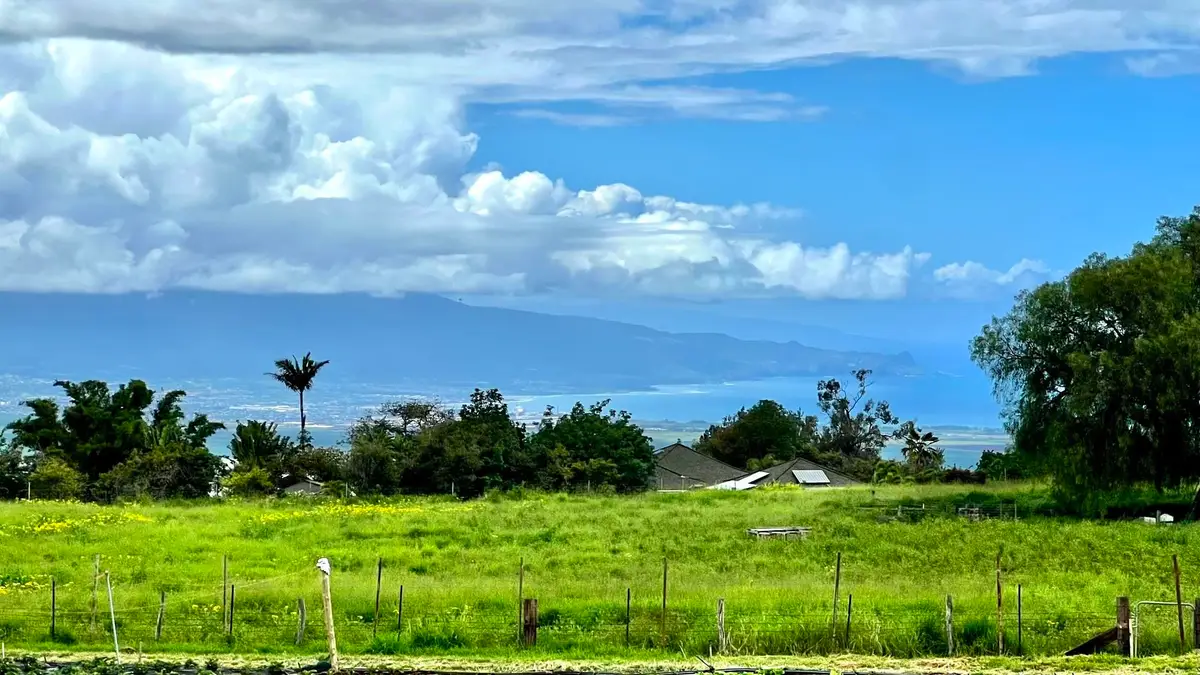 2732 Kula Hwy, Kula, HI 96790 - #1