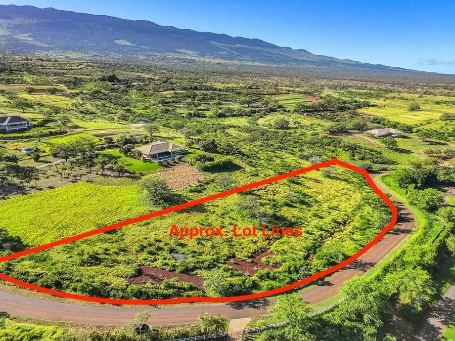 30 Opalipali Pl, Kula, HI 96790 - #2