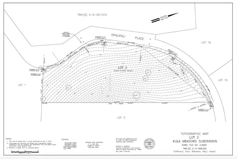 30 Opalipali Pl, Kula, HI 96790 - #3