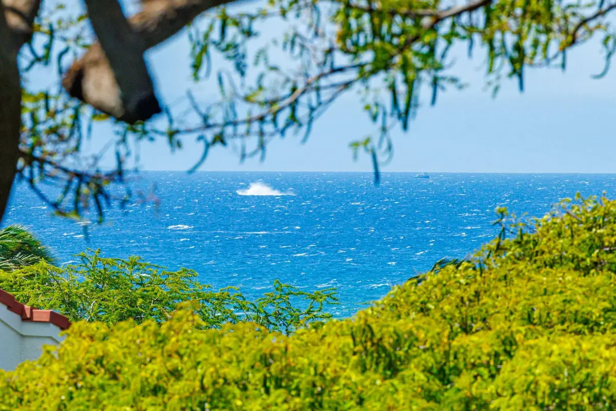 2191 S Kihei Rd #2420, Kihei, HI 96753 - #1