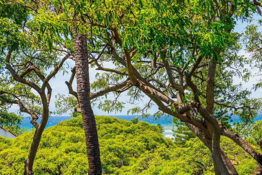 2191 S Kihei Rd #2420, Kihei, HI 96753 - #3