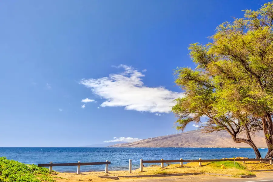 10 Kai Makani Loop #L-103, Kihei, HI 96753 - #2