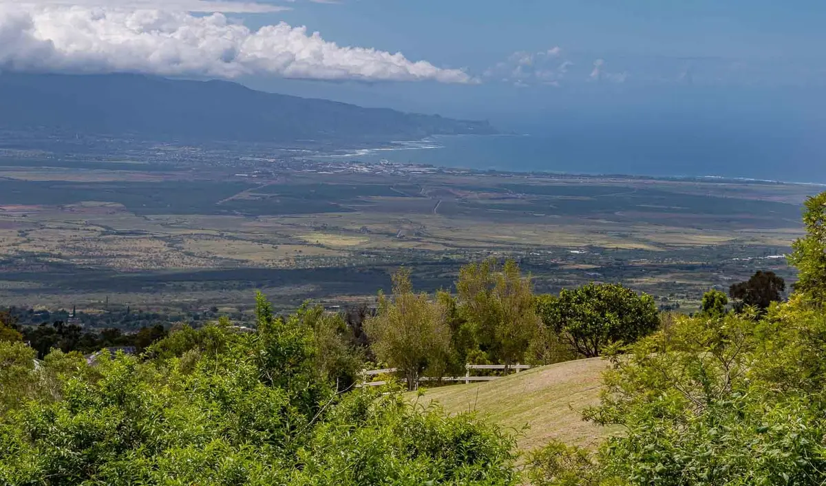 20 Kuulani Pl, Kula, HI 5 - #1