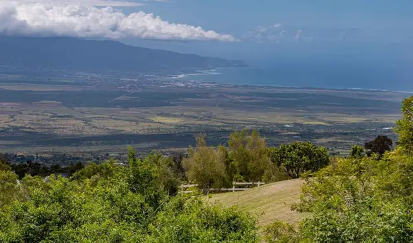 20 Kuulani Pl, Kula, HI 5