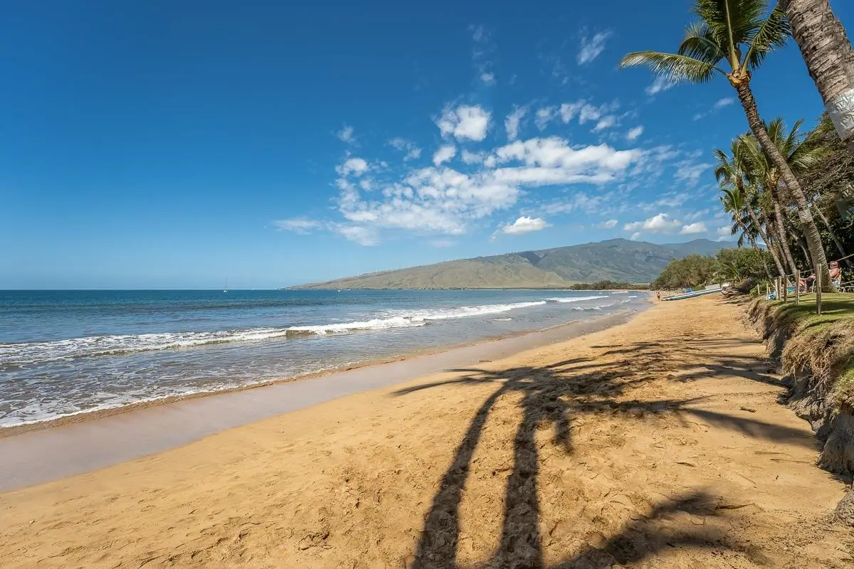 73 N Kihei Rd #502, Kihei, HI 96753 - #1