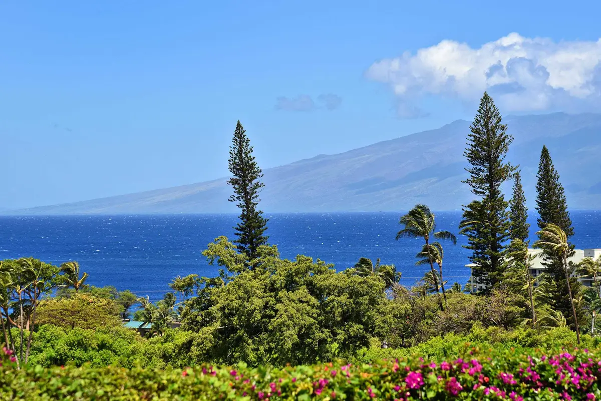 50 Puu Anoano St #603, Lahaina, HI 96761 - #1