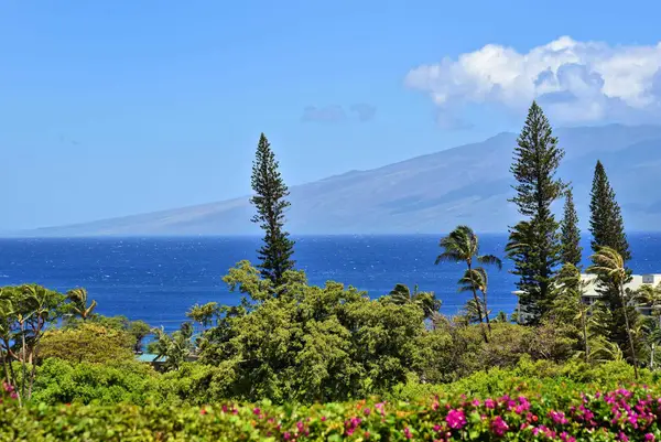 50 Puu Anoano St #603, Lahaina, HI 96761