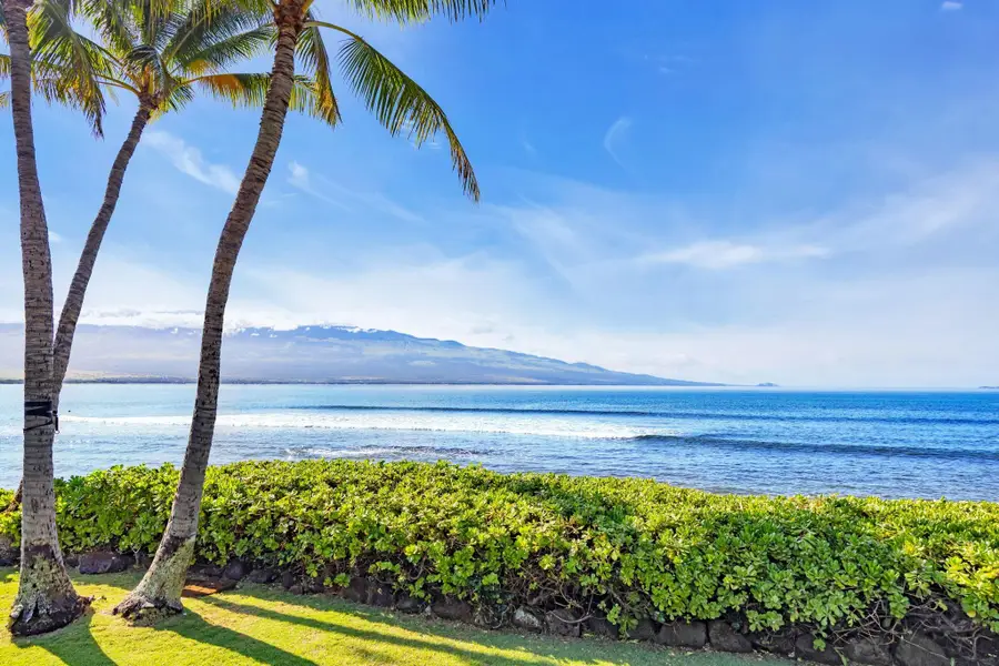 210 S Hauoli St, Maalaea, HI 5 - #3