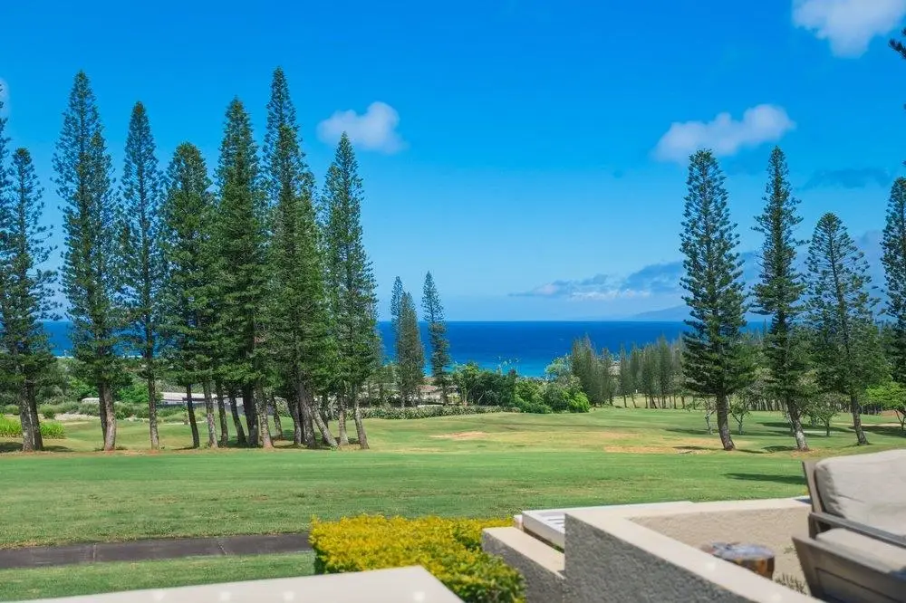 500 Kapalua Dr #27P7-8, Lahaina, HI 96761 - #1
