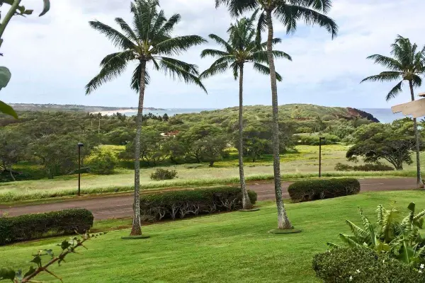 50 Kepuhi Pl #213, Maunaloa, HI 96770