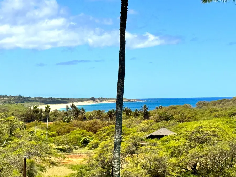 50 Kepuhi Pl #213, Maunaloa, HI 96770 - #2