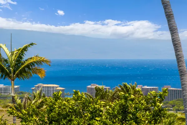 411 Wekiu Pl, Lahaina, HI 96761