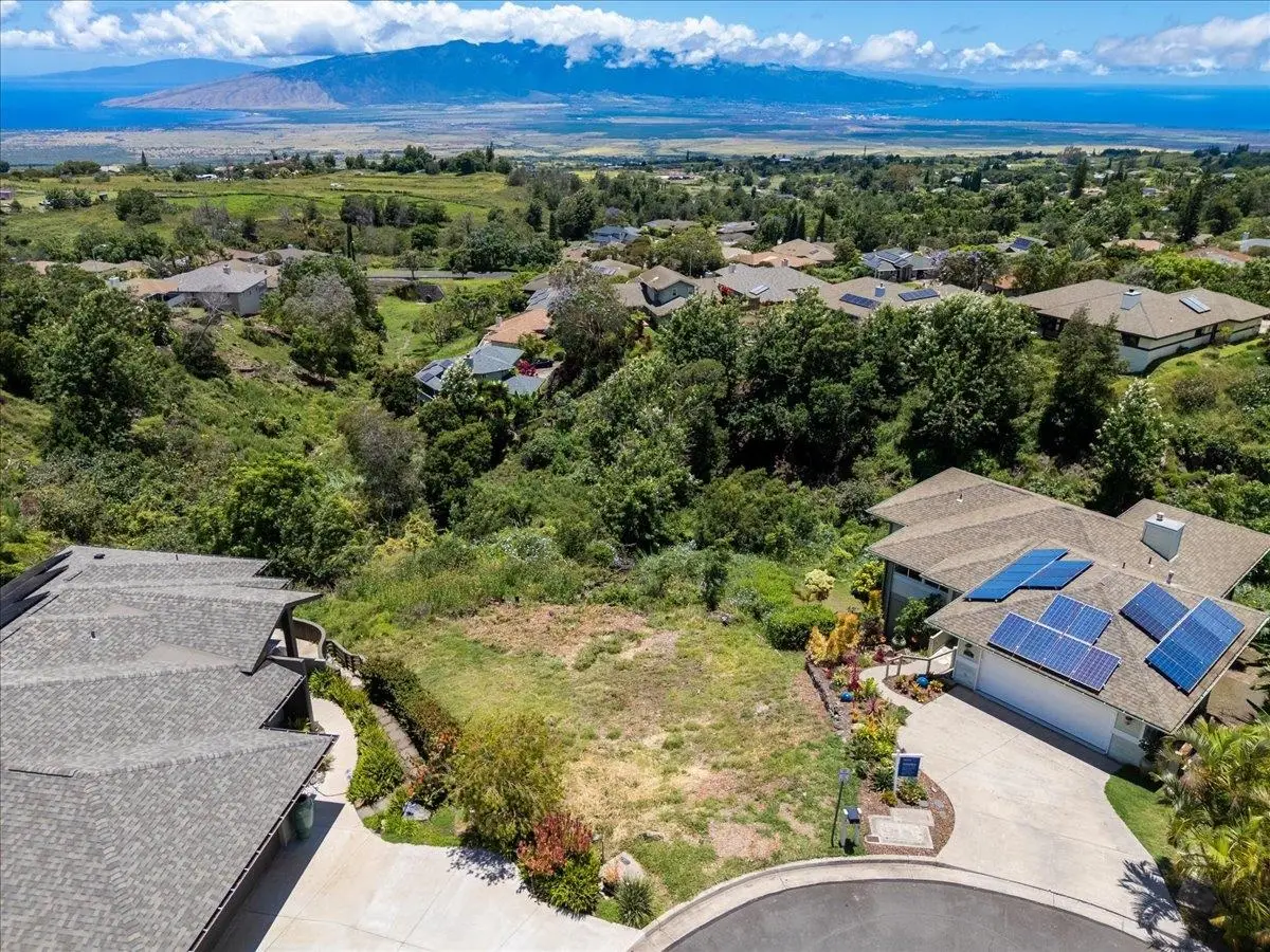 52 Kapalulu Pl, Kula, HI  - #1