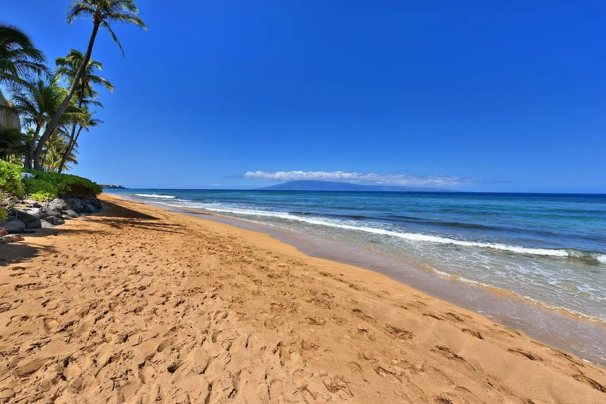 106 Kaanapali Shores Pl #801, Lahaina, HI 96761 - #1