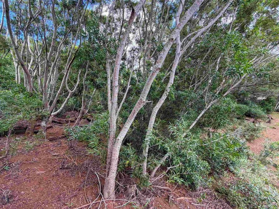 2108 Akeu Way, Hoolehua, HI 96729 - #2