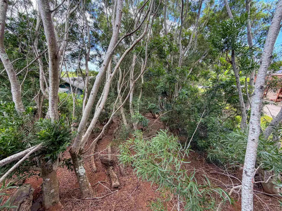 2108 Akeu Way, Hoolehua, HI 96729 - #3