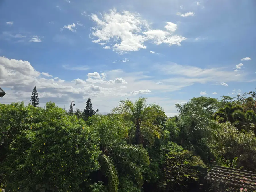 3129 Mapu Pl, Kihei, HI 96753 - #3