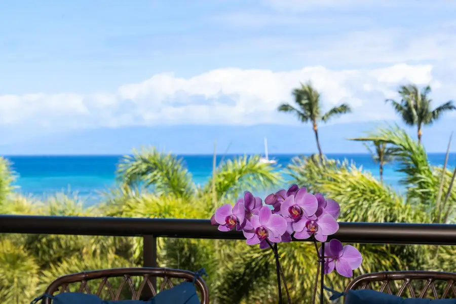 4299 Lower Honoapiilani Rd #134, Lahaina, HI 96761 - #3