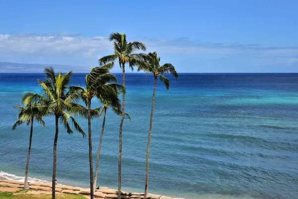 4365 Lower Honoapiilani Rd #618, Lahaina, HI 96761