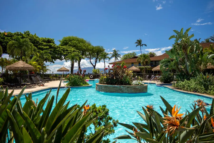 45 Kai Ala Dr #A509, Lahaina, HI 96761 - #3