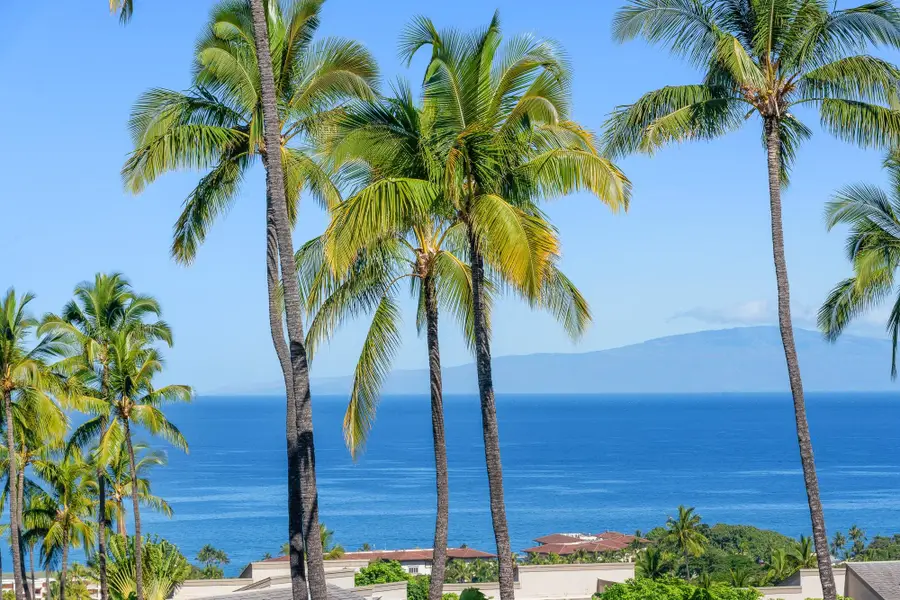 10 Wailea Ekolu Pl #1706, Kihei, HI 96753 - #2