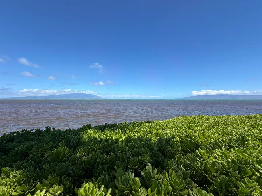 7142 Kamehameha V Hwy #A115, Kaunakakai, HI 96748 - #2