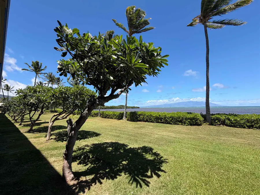 7142 Kamehameha V Hwy #A115, Kaunakakai, HI 96748 - #3