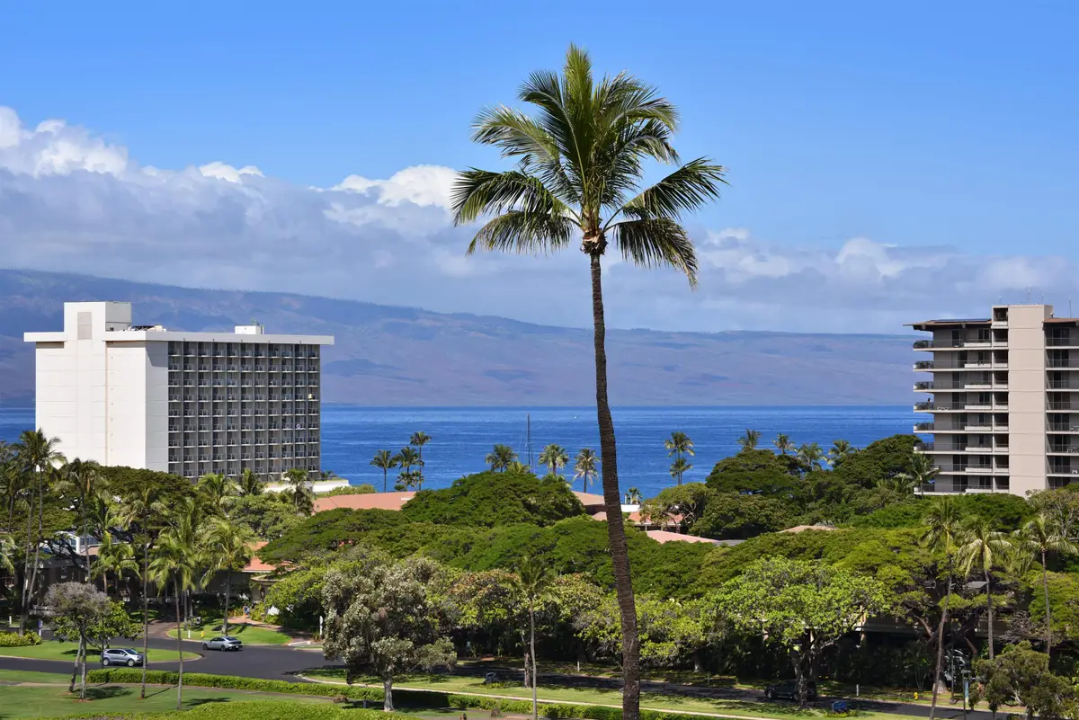 2560 Kekaa Dr #N302, Lahaina, HI 96761 - #1
