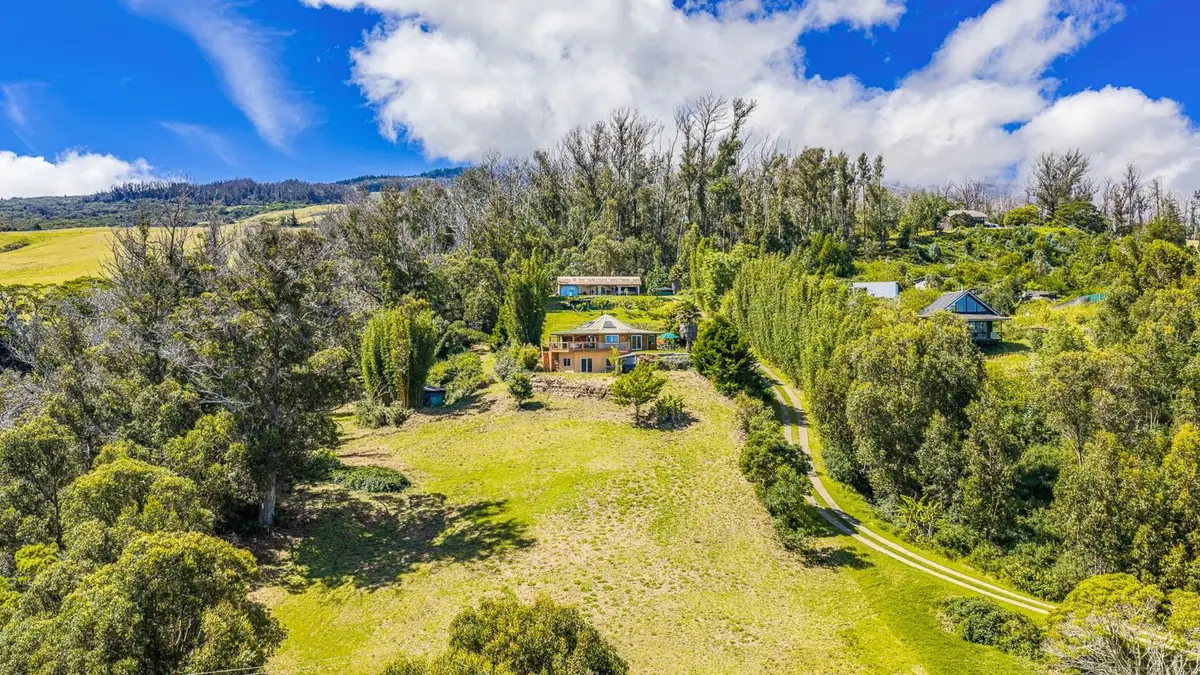 156 Alaluana Rd, Makawao, HI 96768 - #1