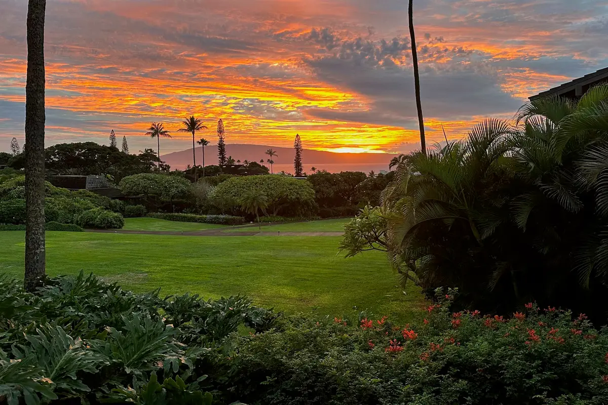 150 Puukolii Rd #43, Lahaina, HI 96761 - #1