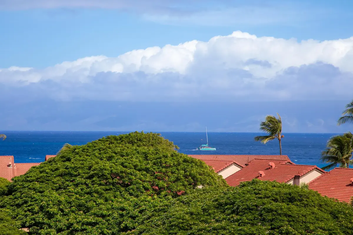 3445 Lower Honoapiilani Rd #732, Lahaina, HI 96761 - #1