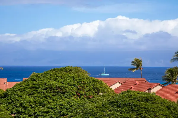 3445 Lower Honoapiilani Rd #732, Lahaina, HI 96761