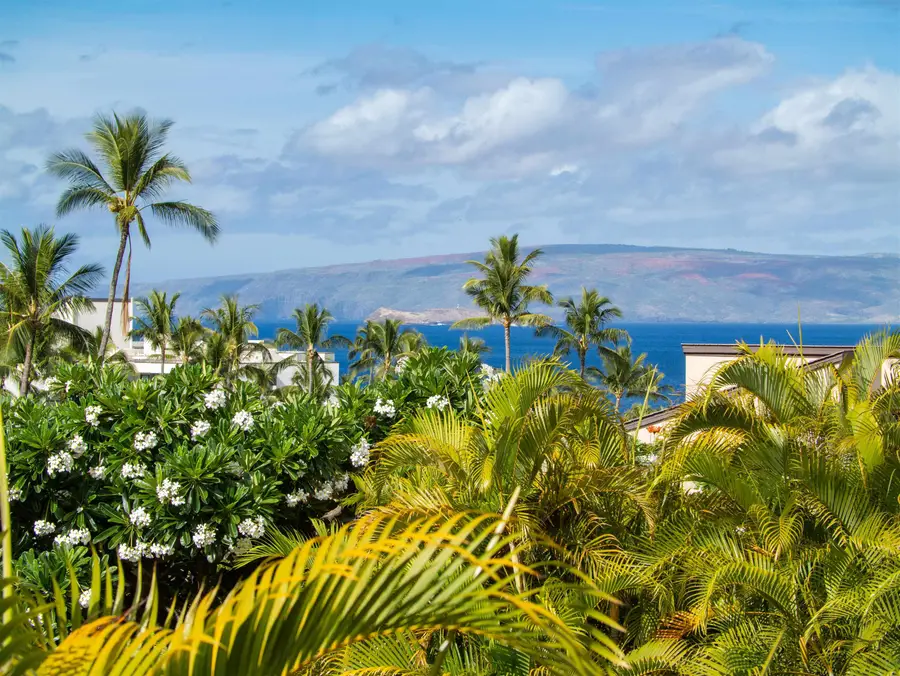 3300 Wailea Alanui Dr #40E, Kihei, HI 96753 - #2