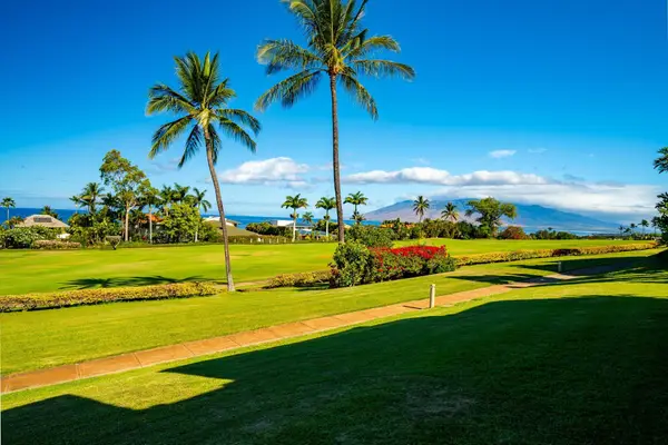 3950 Kalai Waa St #R102, Kihei, HI 96753