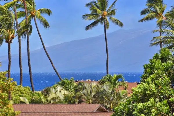 3660 Lower Honoapiilani Rd #302, Lahaina, HI 96761