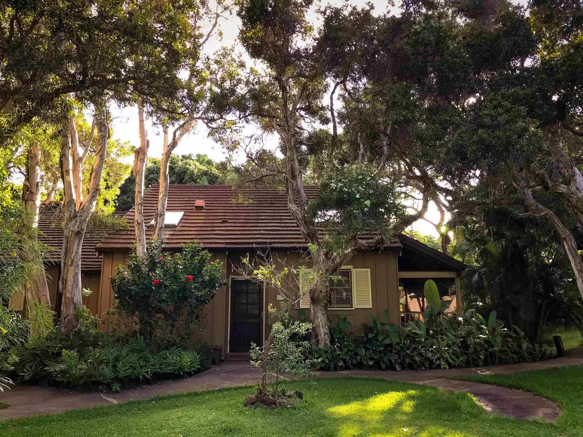 100 Lio Pl #C-3, Maunaloa, HI 96770 - #1