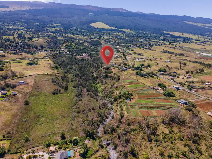 302 Naalae Rd, Kula, HI 96790 - #2