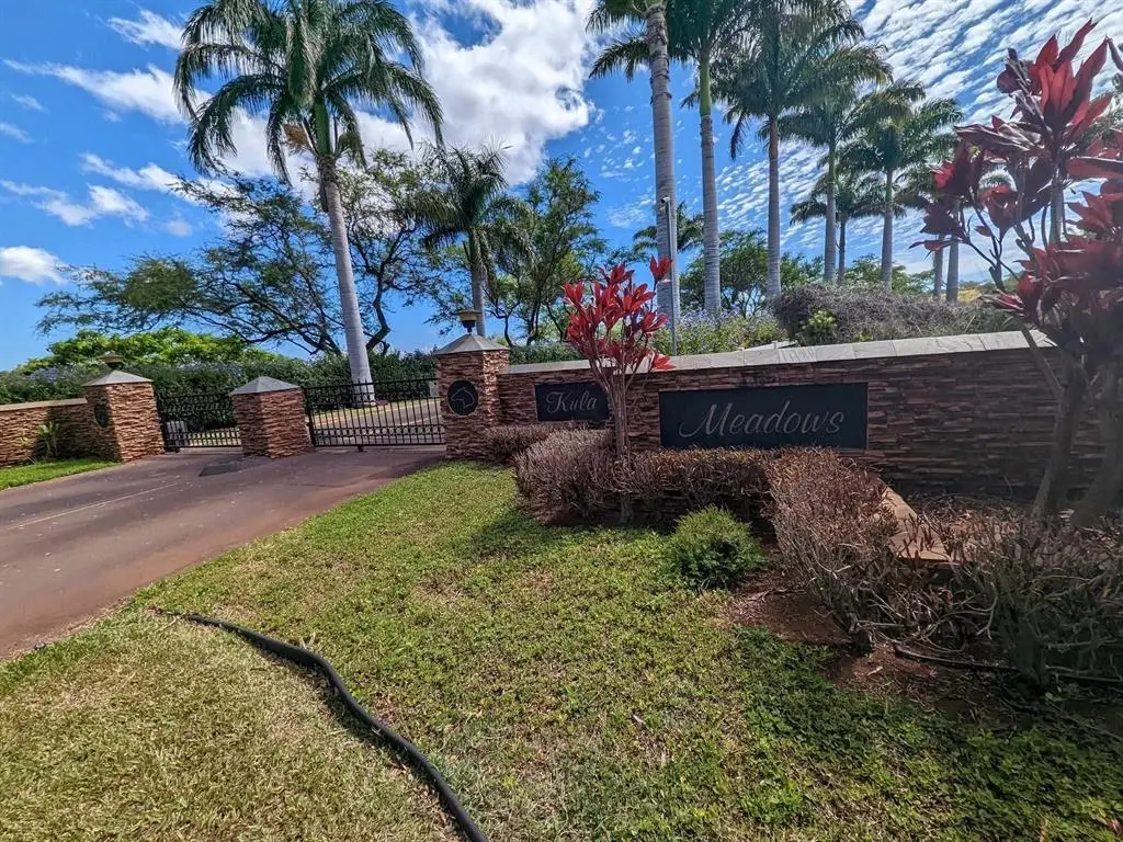 80 Opalipali Pl, Kula, HI 96790 - #1