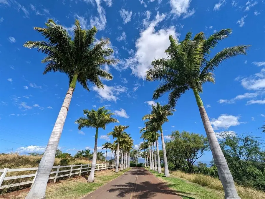 80 Opalipali Pl, Kula, HI 96790 - #2