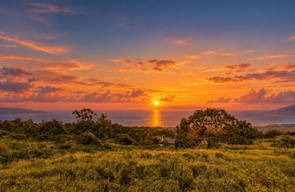 275 Kealakapu Rd, Kula, HI 96790