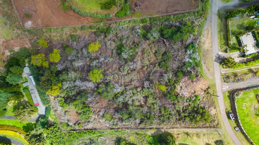 Malanani Dr, Kula, HI 96790 - #3