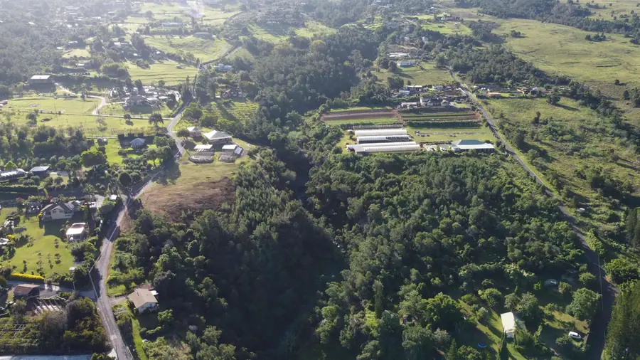 0 Kamehameiki Rd, Kula, HI 96790 - #3
