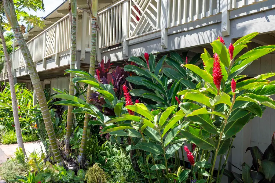 715 S Kihei Rd #C227, Kihei, HI 96753 - #3