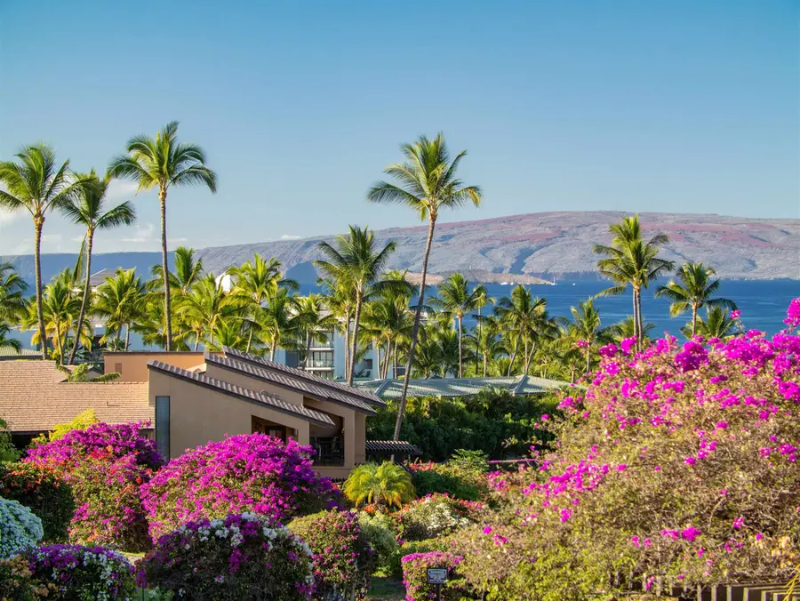 3300 Wailea Alanui Dr #41C, Kihei, HI 96753 - #3