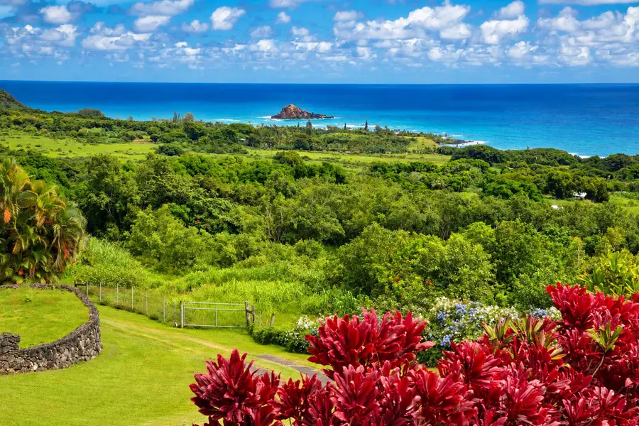 37 & 213 Kapia Rd, Hana, HI 96713 - #2