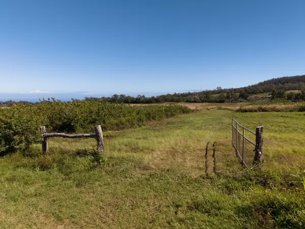 93 Piiholo Rd #B, Makawao, HI 96768