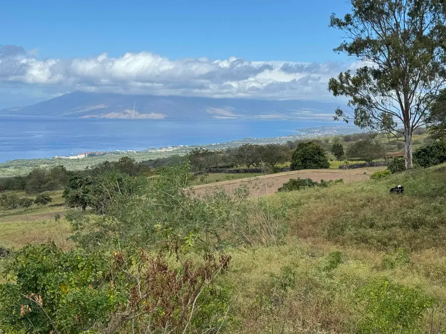 1521 Kanaio-kalama Park Rd #Lot A, Kula, HI 96790 - #2