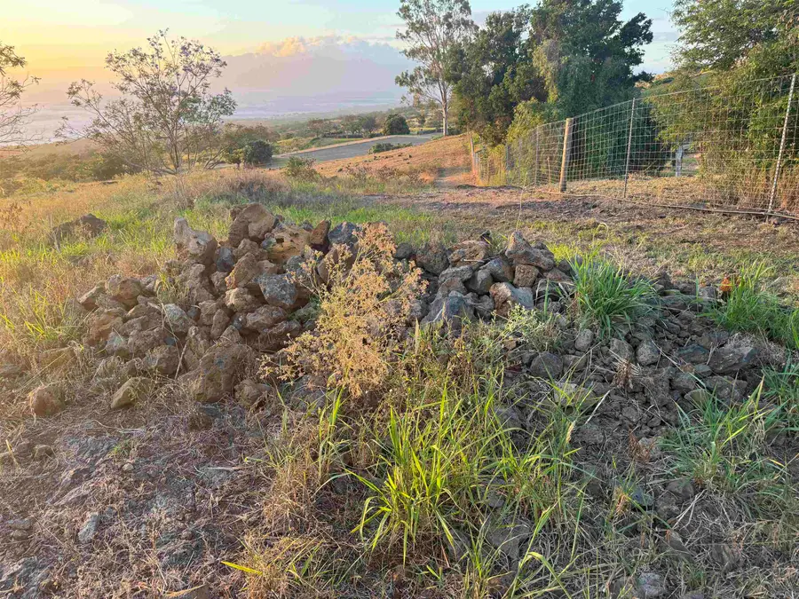 1521 Kanaio-kalama Park Rd #Lot A, Kula, HI 96790 - #3