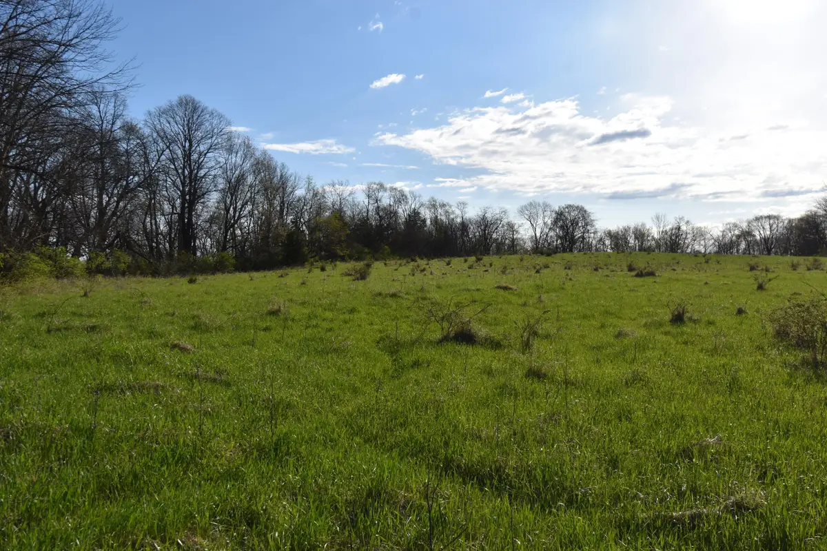 233rd Street, Boone, IA 50036 - #1